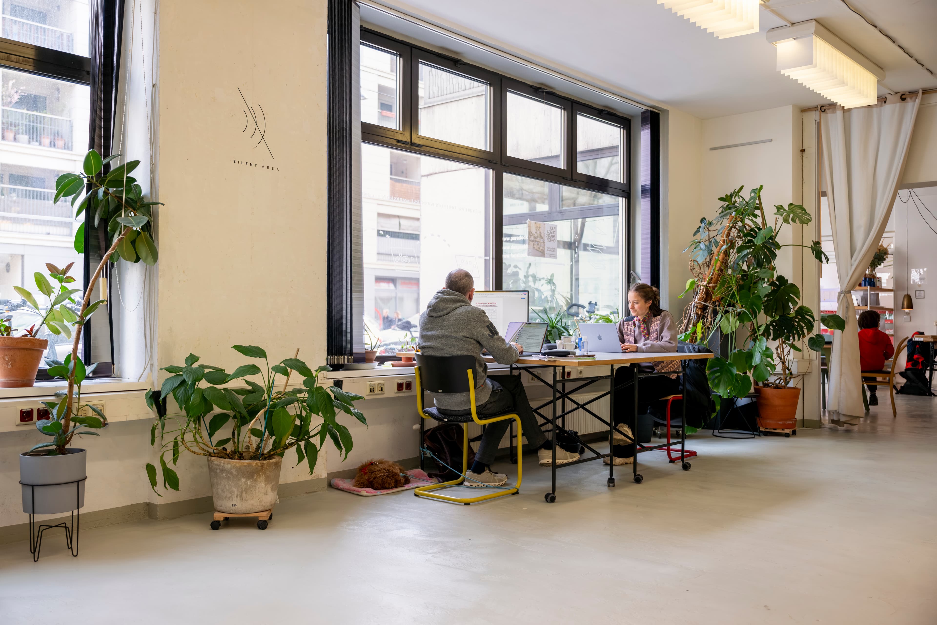 Sunlit coworking area with ergonomic desks